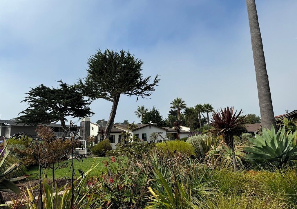 Photo of Outdoor in Baywood Park