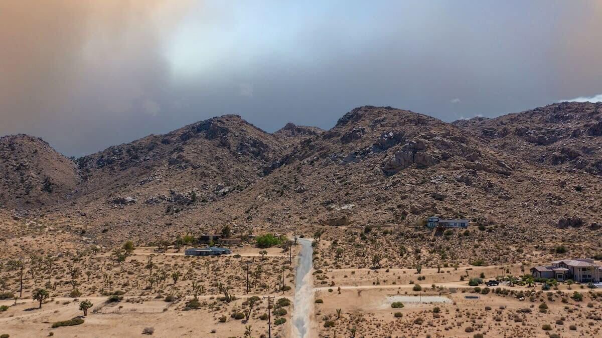 Photo of Others in Joshua Tree