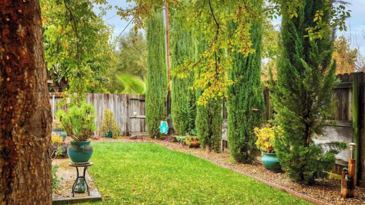 Photo of Outdoor in Davis