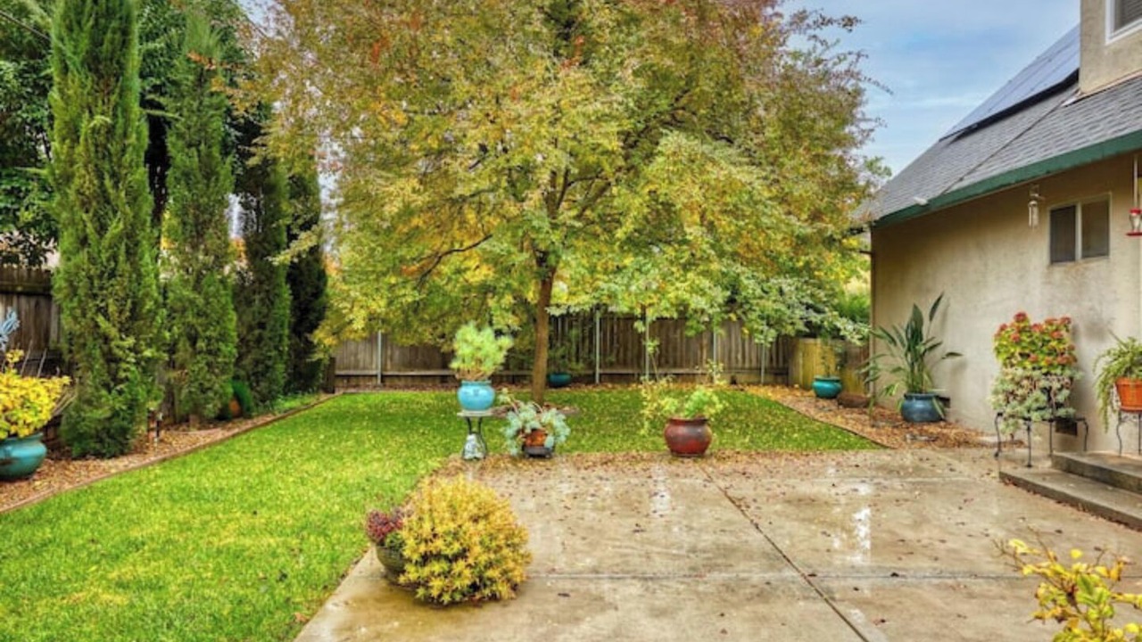 Photo of Outdoor in Davis