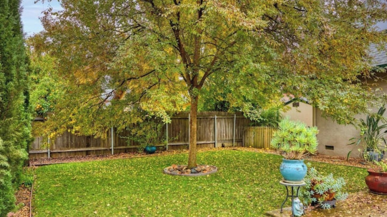 Photo of Outdoor in Davis