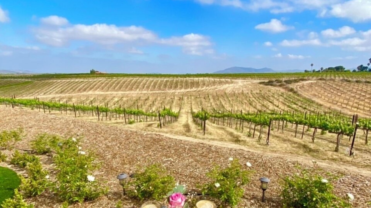 Photo of Outdoor in Temecula