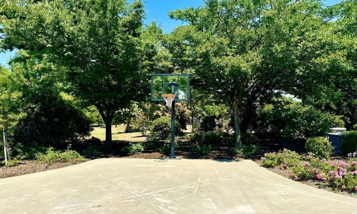 Photo of Others in Davis