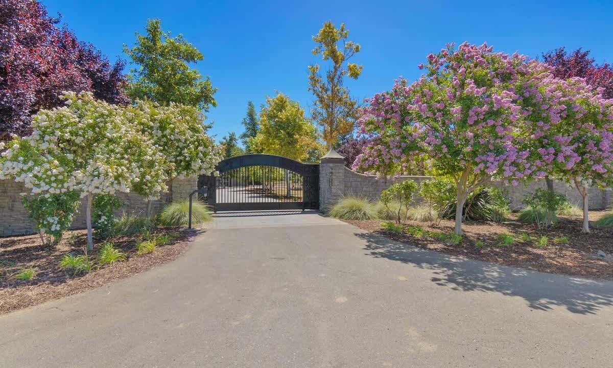 Photo of Outdoor in Davis