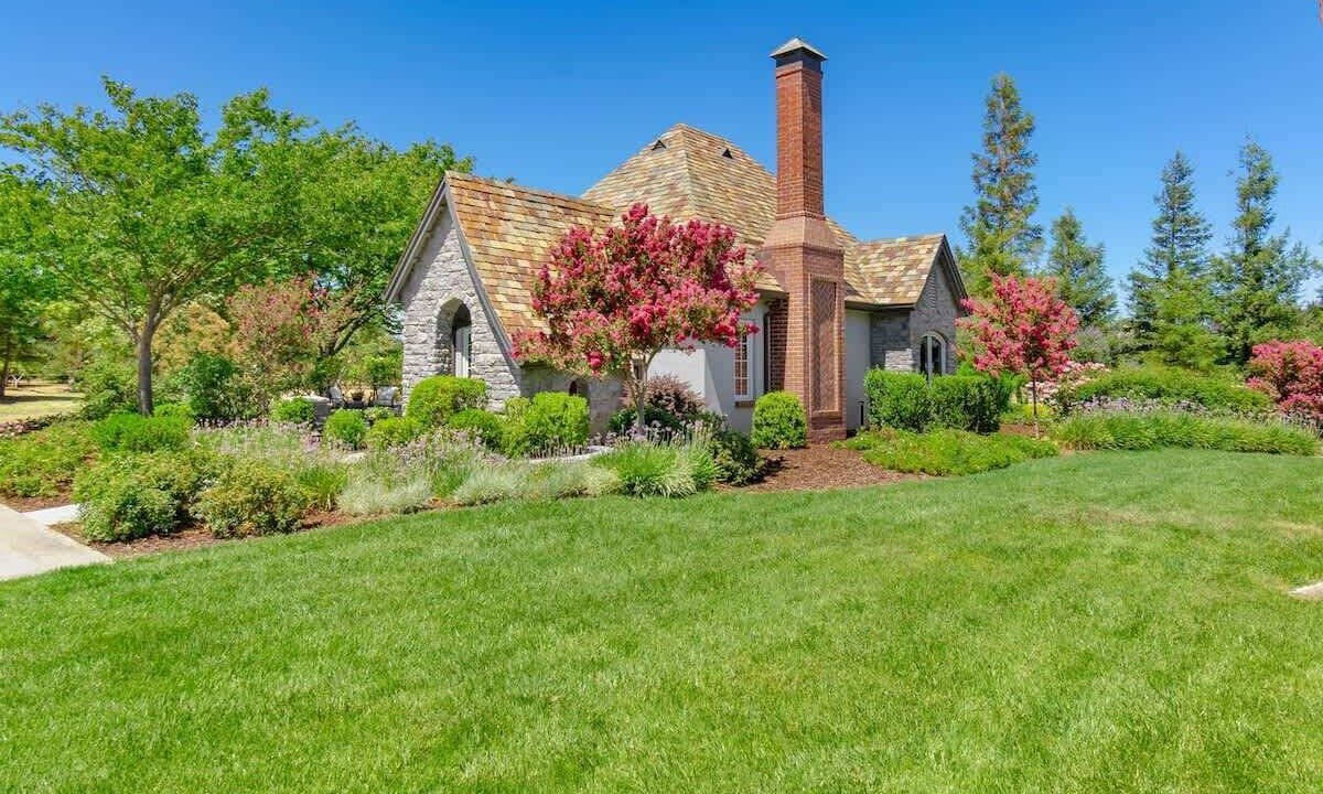 Photo of Outdoor in Davis
