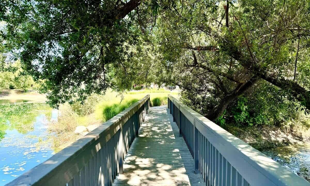 Photo of Outdoor in Davis