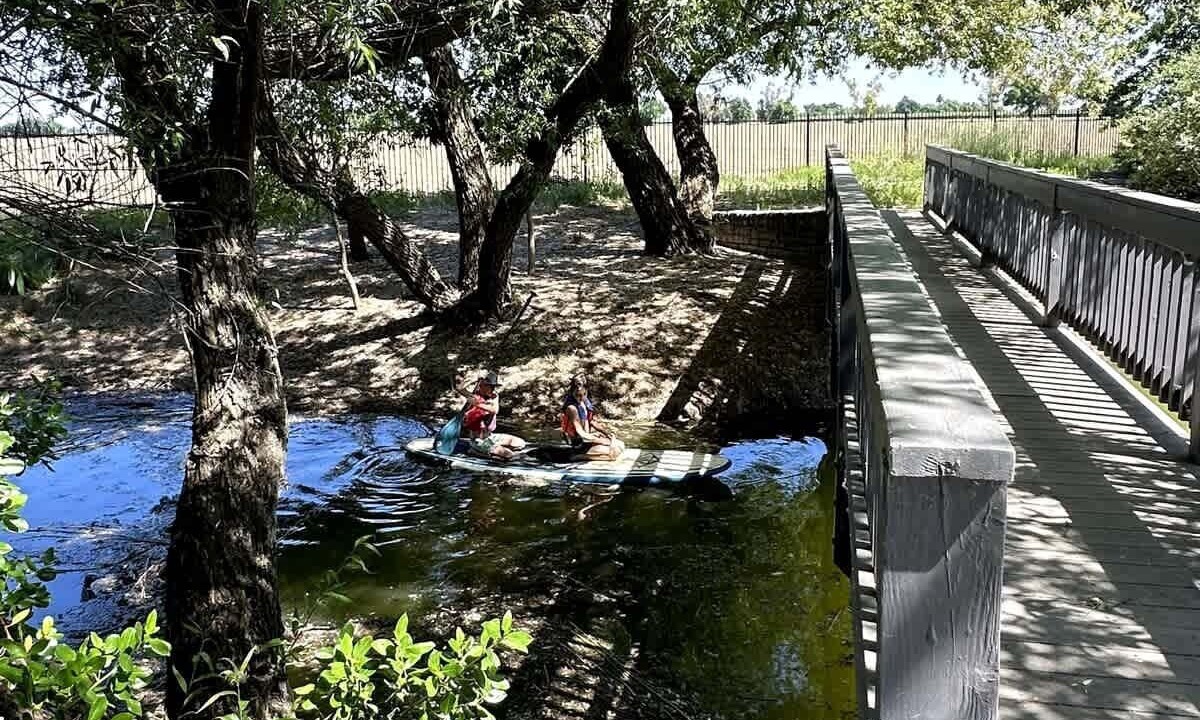 Photo of Others in Davis