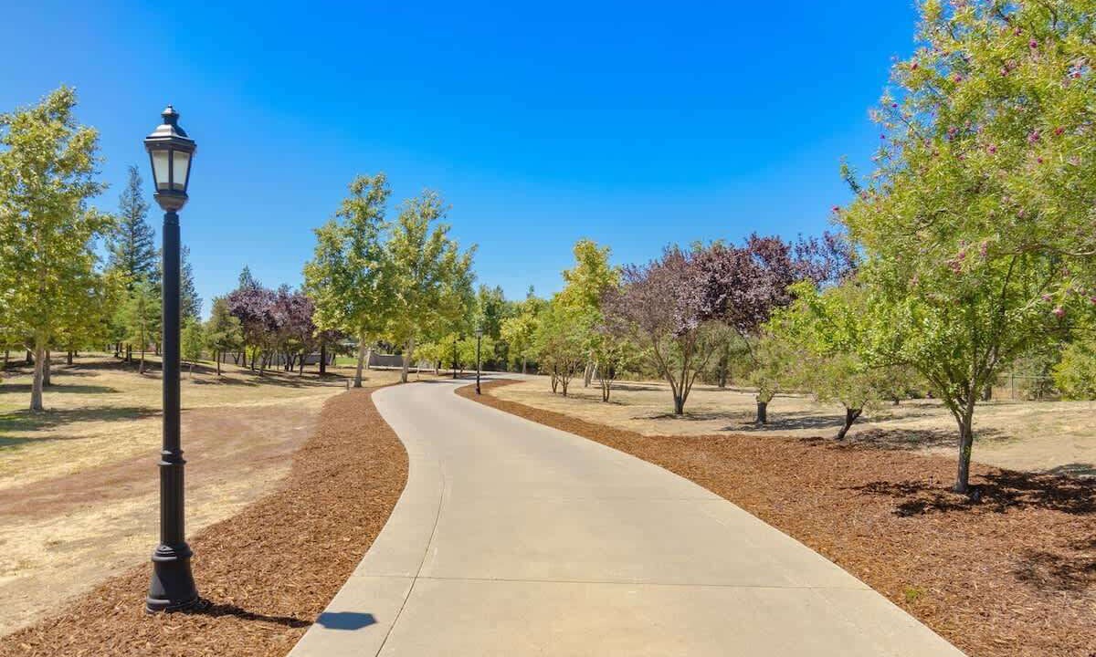 Photo of Others in Davis