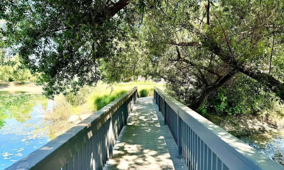 Photo of Outdoor in Davis