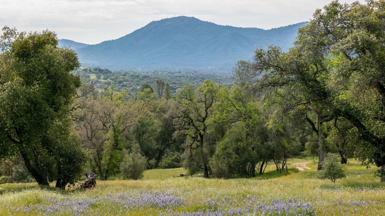 Photo of Others in Ahwahnee
