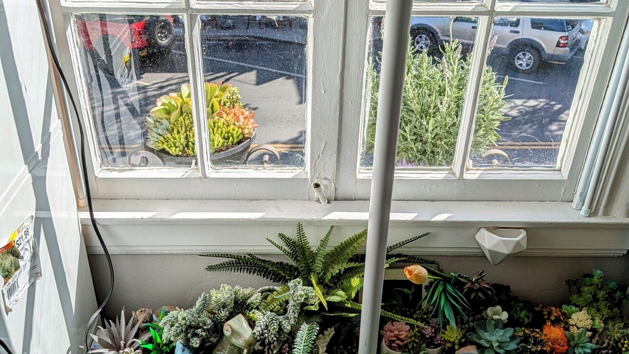 Photo of Others in Burlingame