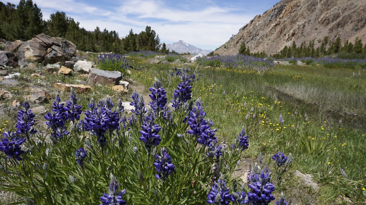 Photo of Outdoor in Big Pine