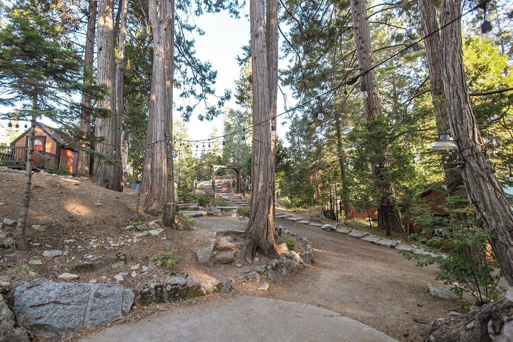 Photo of Outdoor in Shaver Lake