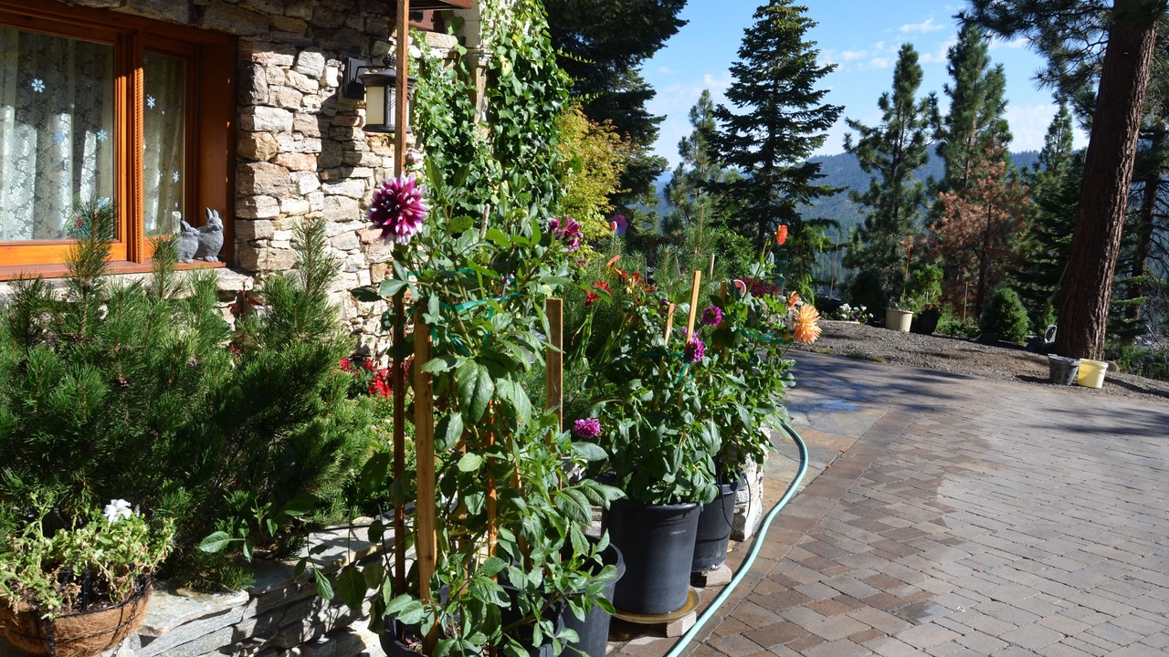 Photo of Outdoor in Zephyr Cove