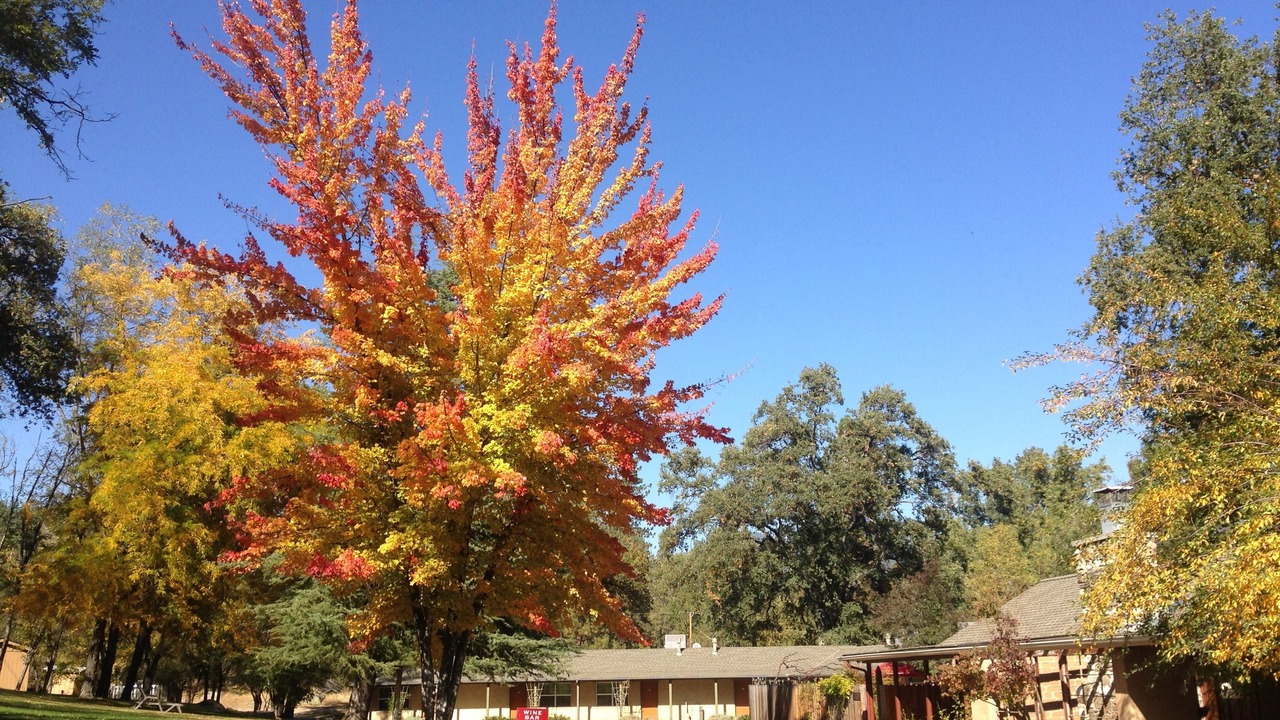 Photo of Outdoor in Oakhurst