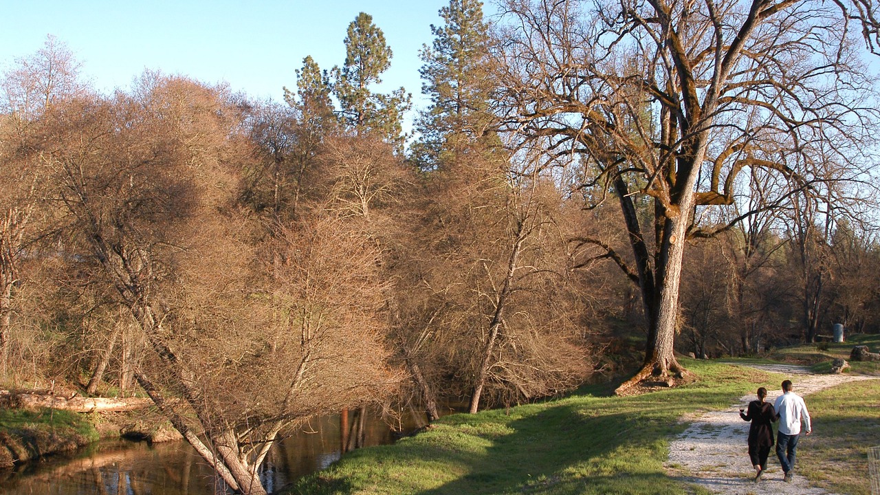 Photo of Outdoor in Oakhurst