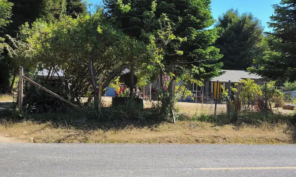 Photo of Others in Fort Bragg