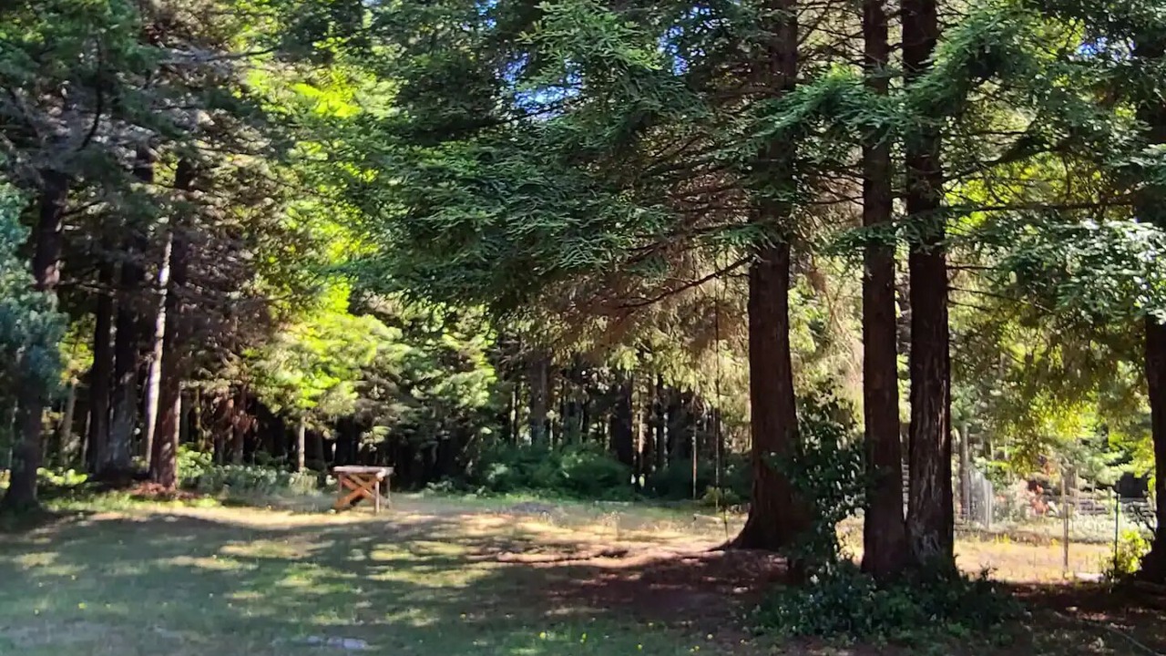 Photo of Others in Fort Bragg