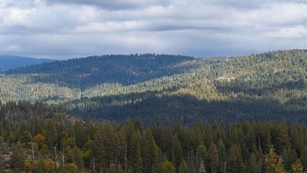 Photo of Others in Cold Springs