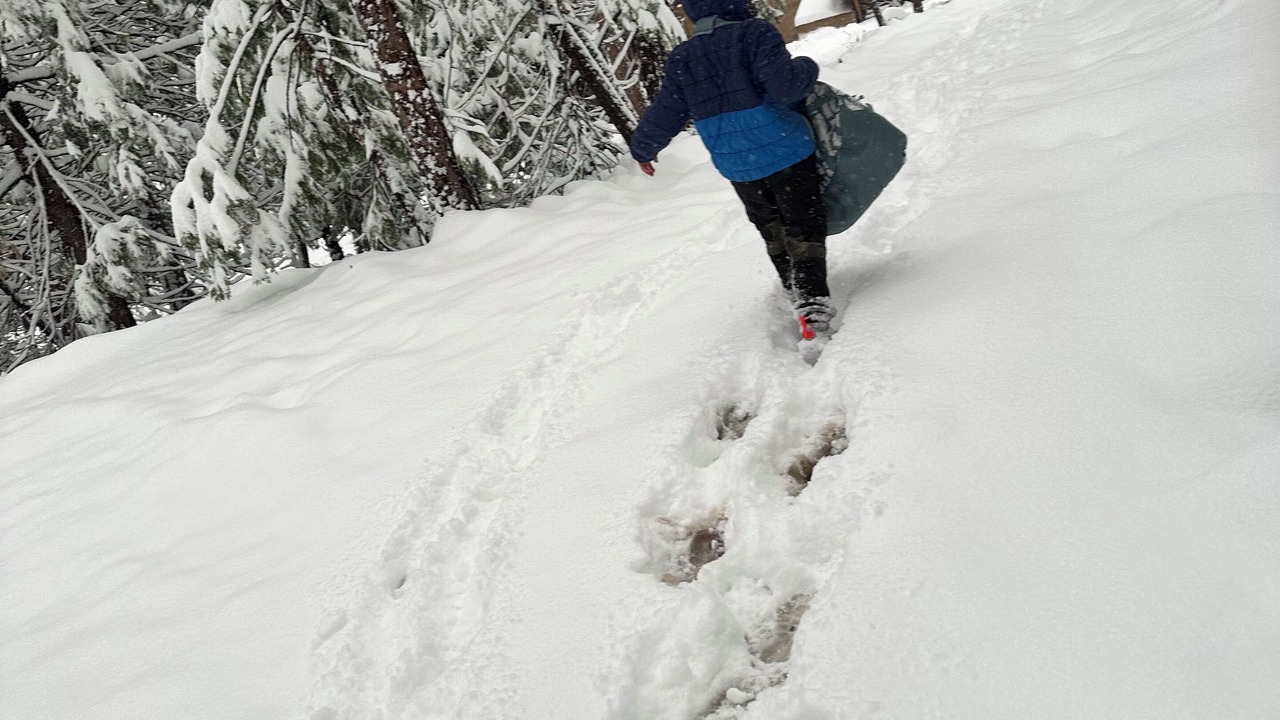 Photo of Others in Cold Springs