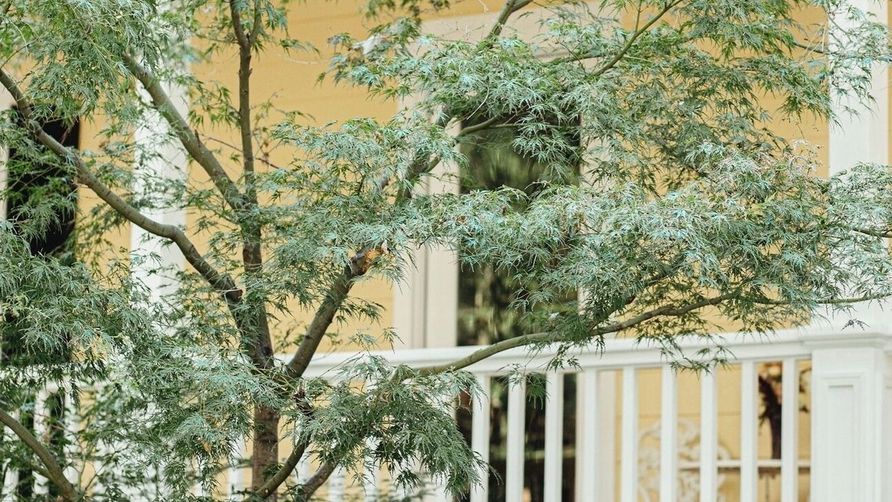 Photo of Outdoor in Nevada City