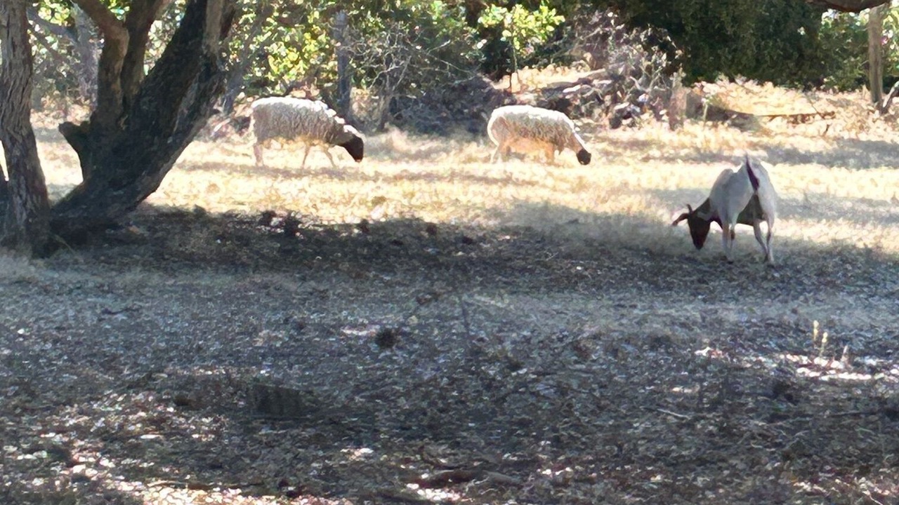 Photo of Outdoor in Salinas