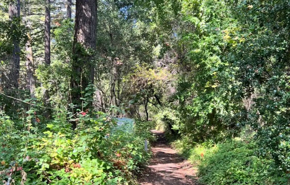 Photo of Outdoor in La Honda