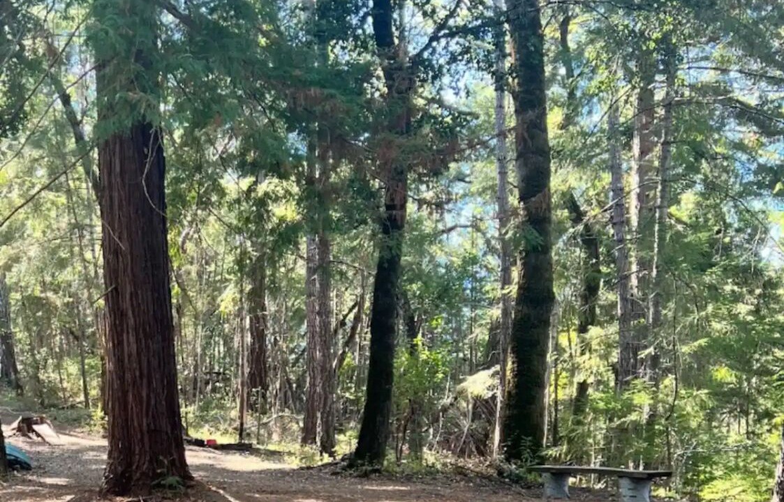 Photo of Others in La Honda