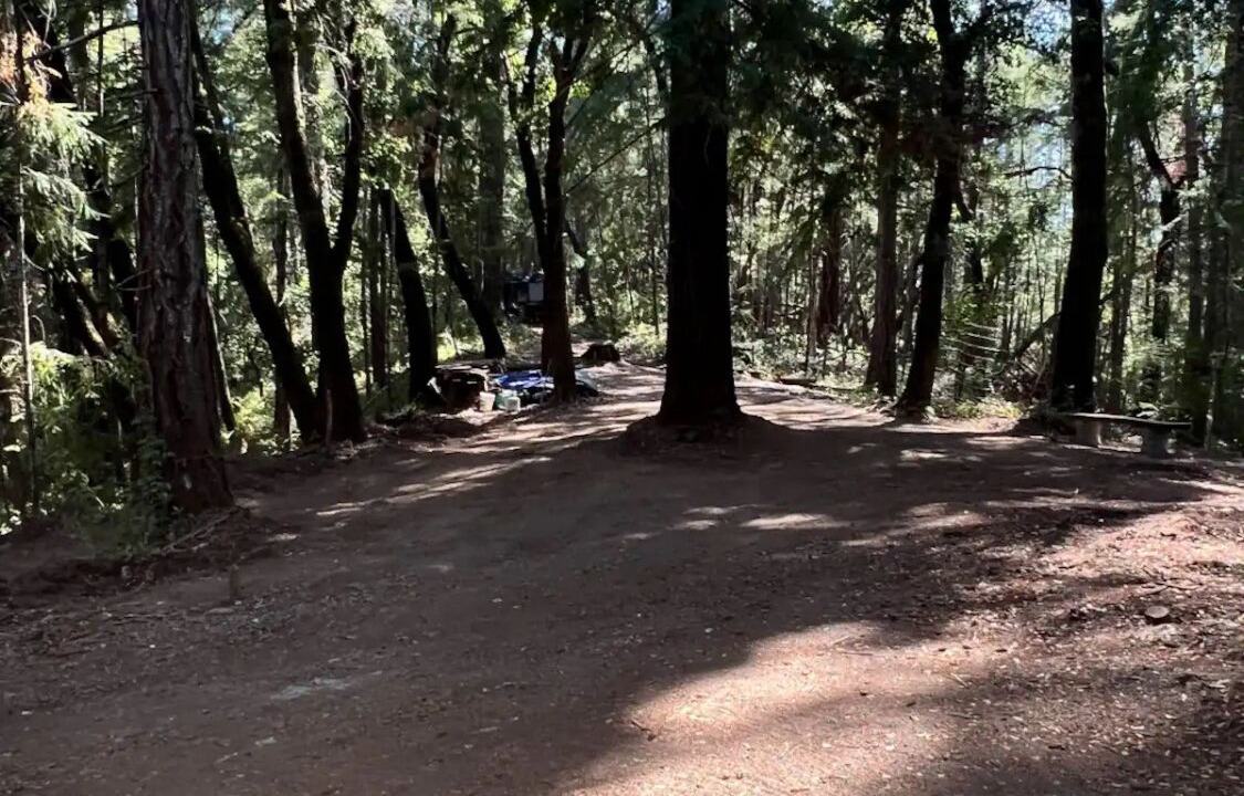 Photo of Outdoor in La Honda
