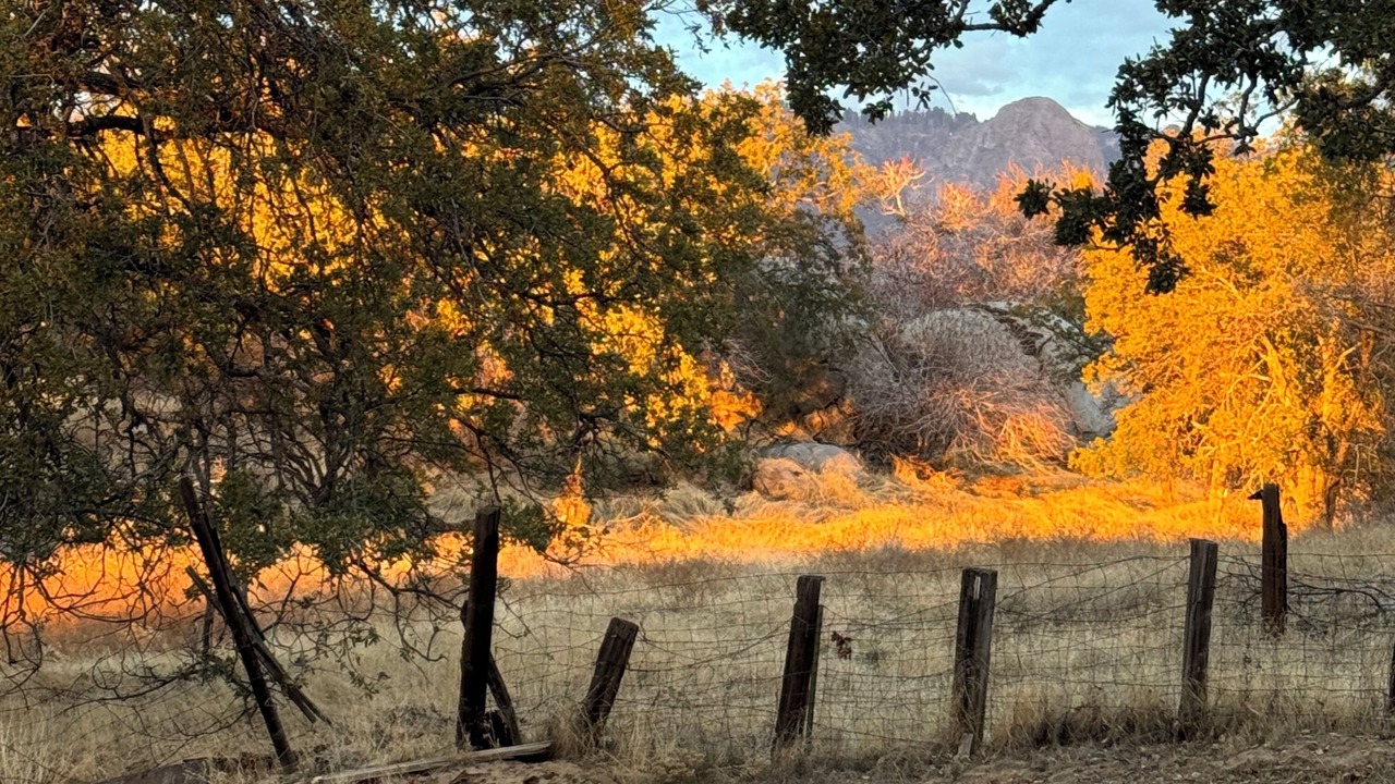 Photo of Outdoor in Three Rivers