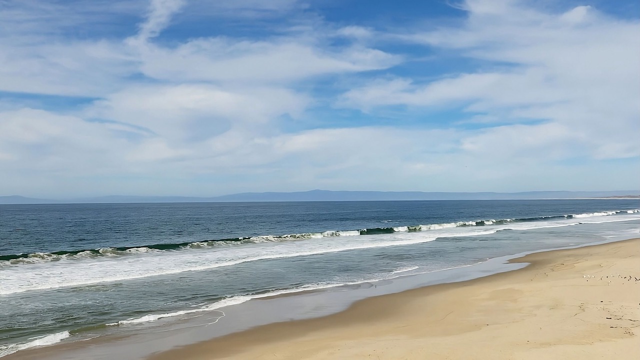 Photo of Others in Monterey