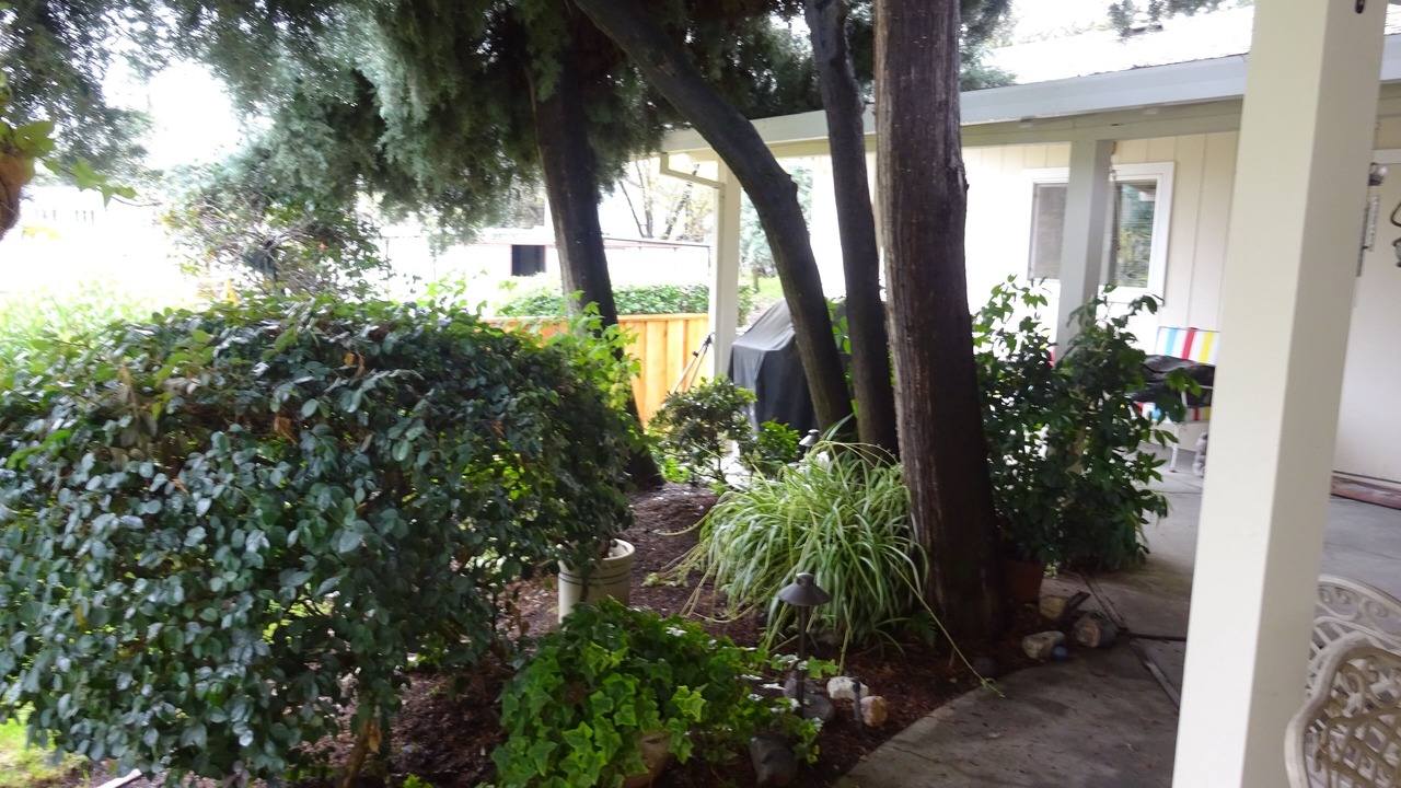 Photo of Outdoor in Alamo