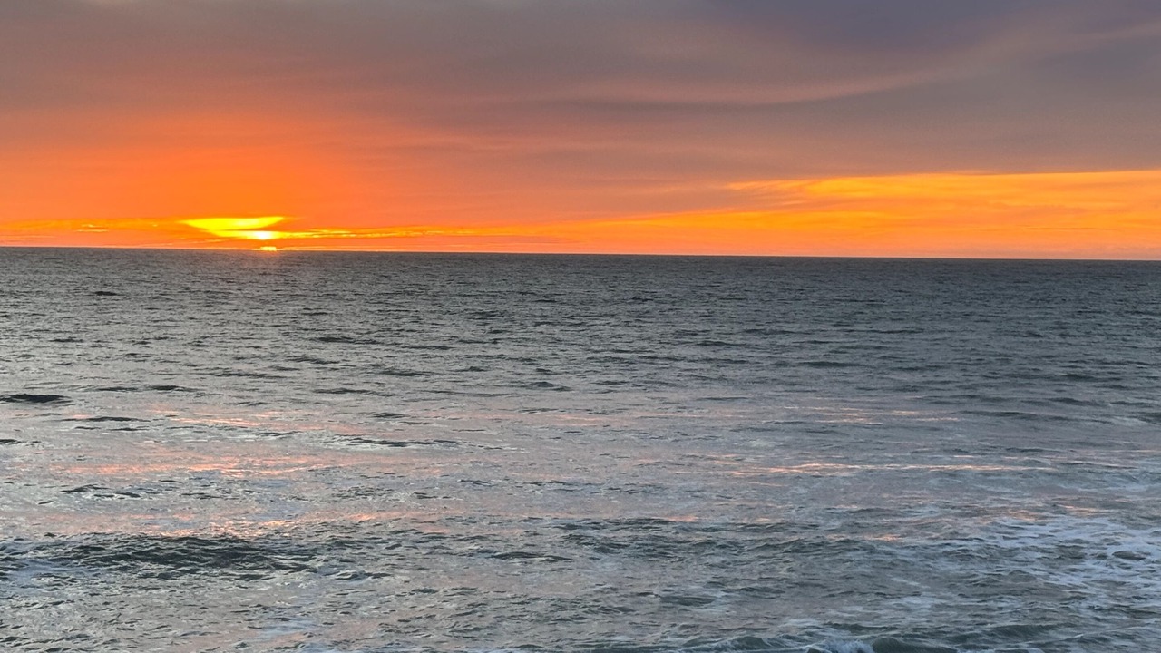 Photo of Others in San Simeon