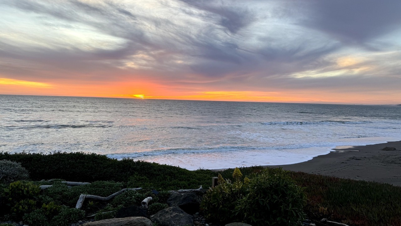 Photo of Others in San Simeon