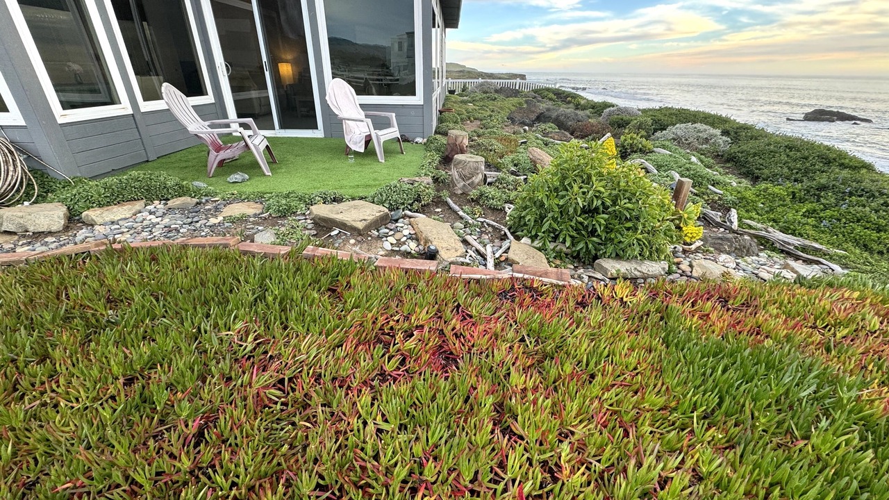 Photo of Outdoor in San Simeon