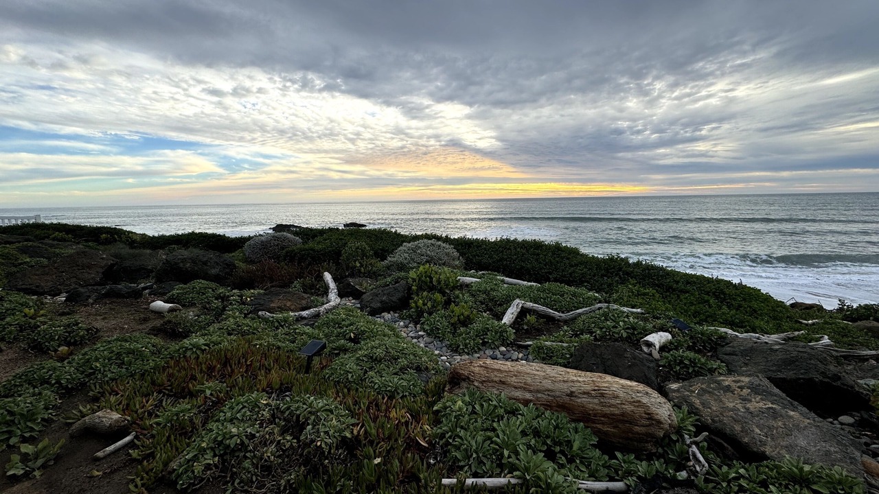 Photo of Others in San Simeon