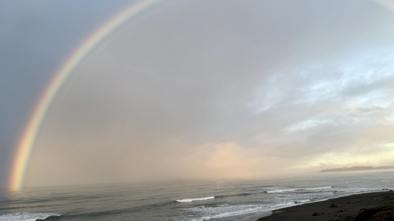Photo of Others in San Simeon