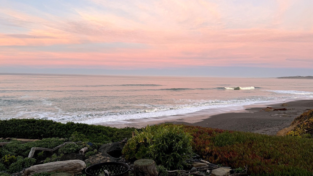 Photo of Others in San Simeon