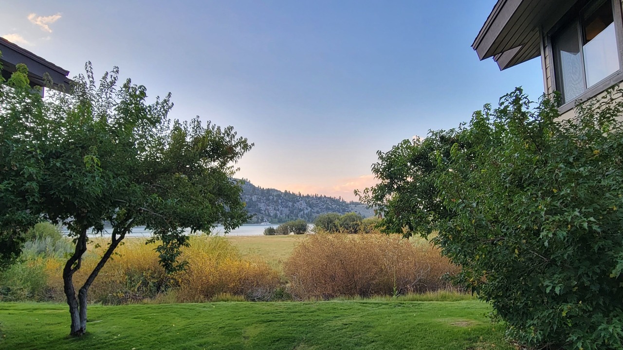 Photo of Outdoor in June Lake