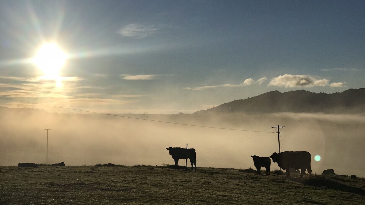 Photo of Outdoor in Valley Springs