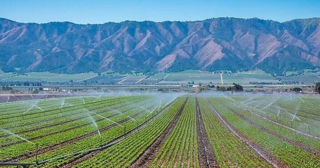 Photo of Others in Prunedale