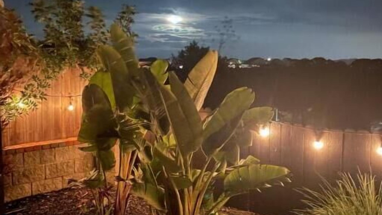 Photo of Outdoor in Vallejo