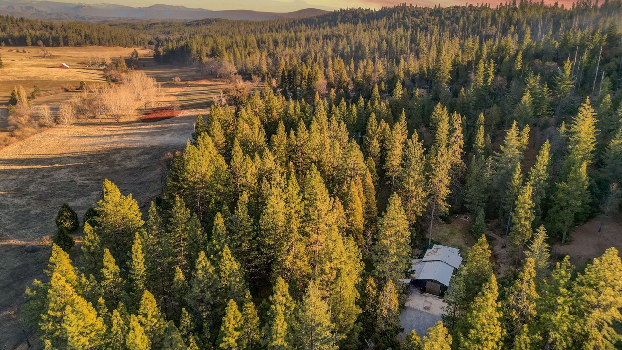 Photo of Outdoor in Groveland