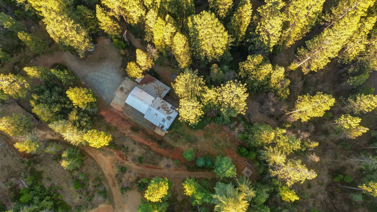 Photo of Outdoor in Groveland