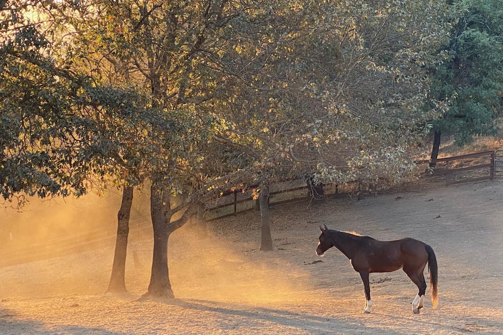 Photo of Outdoor in Lexington Hills