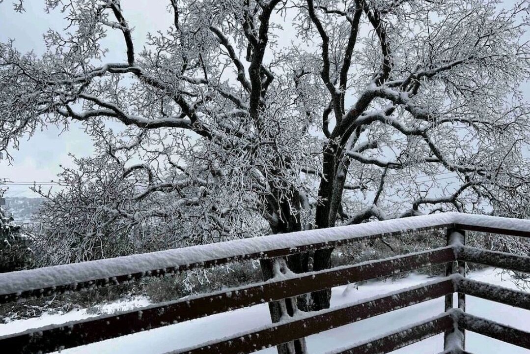 Photo of Outdoor in Bear Valley Springs