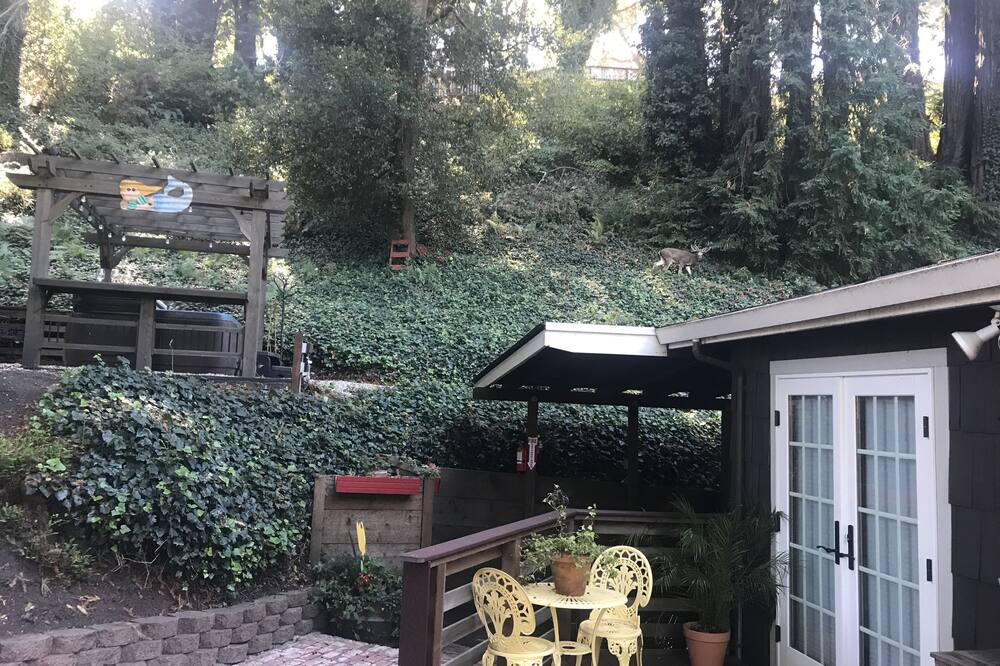 Photo of Outdoor in Rio del Mar