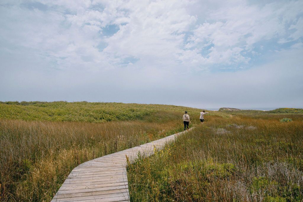 Photo of Others in Pescadero