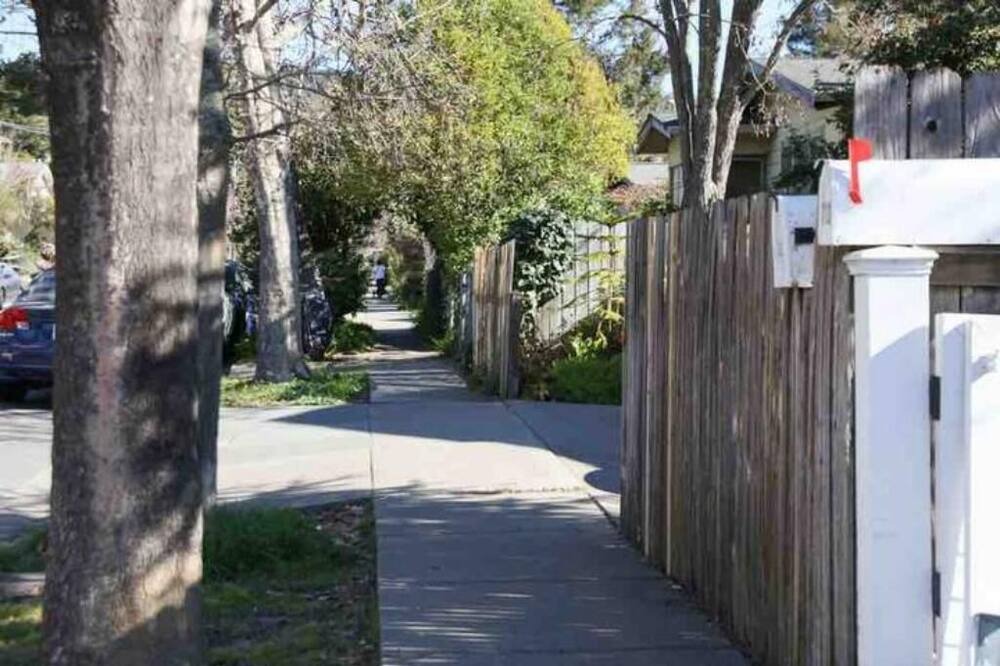Photo of Outdoor in San Anselmo