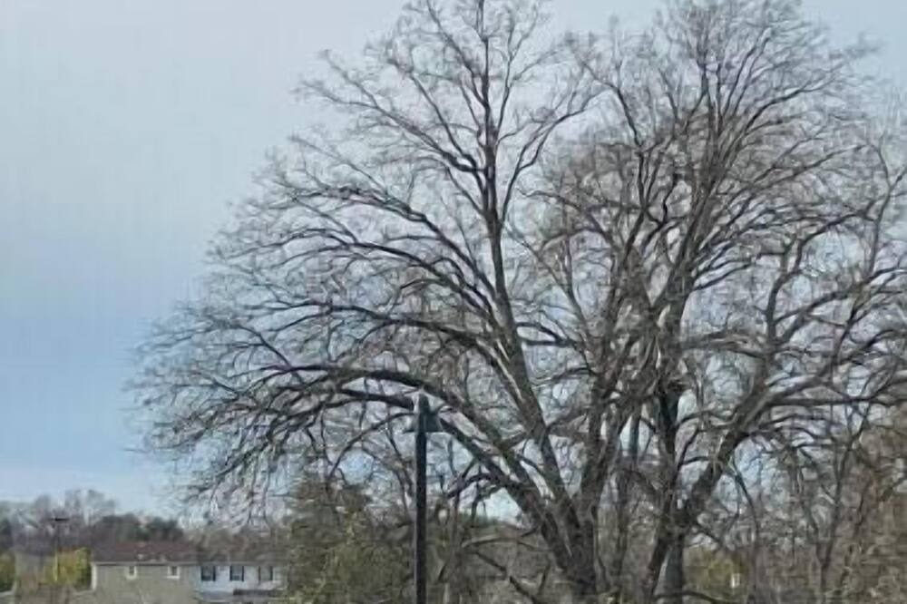 Photo of Outdoor in Citrus Heights
